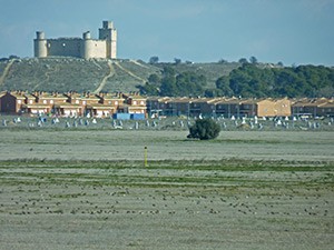 Landscape of La Sagra with Little Bustard flock - Tetrax tetrax © John Muddeman